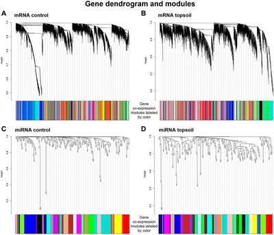 Early-Life Exposure of Pigs to Topsoil Alters miRNA and mRNA Expression in Peripheral Blood Mononuclear Cells